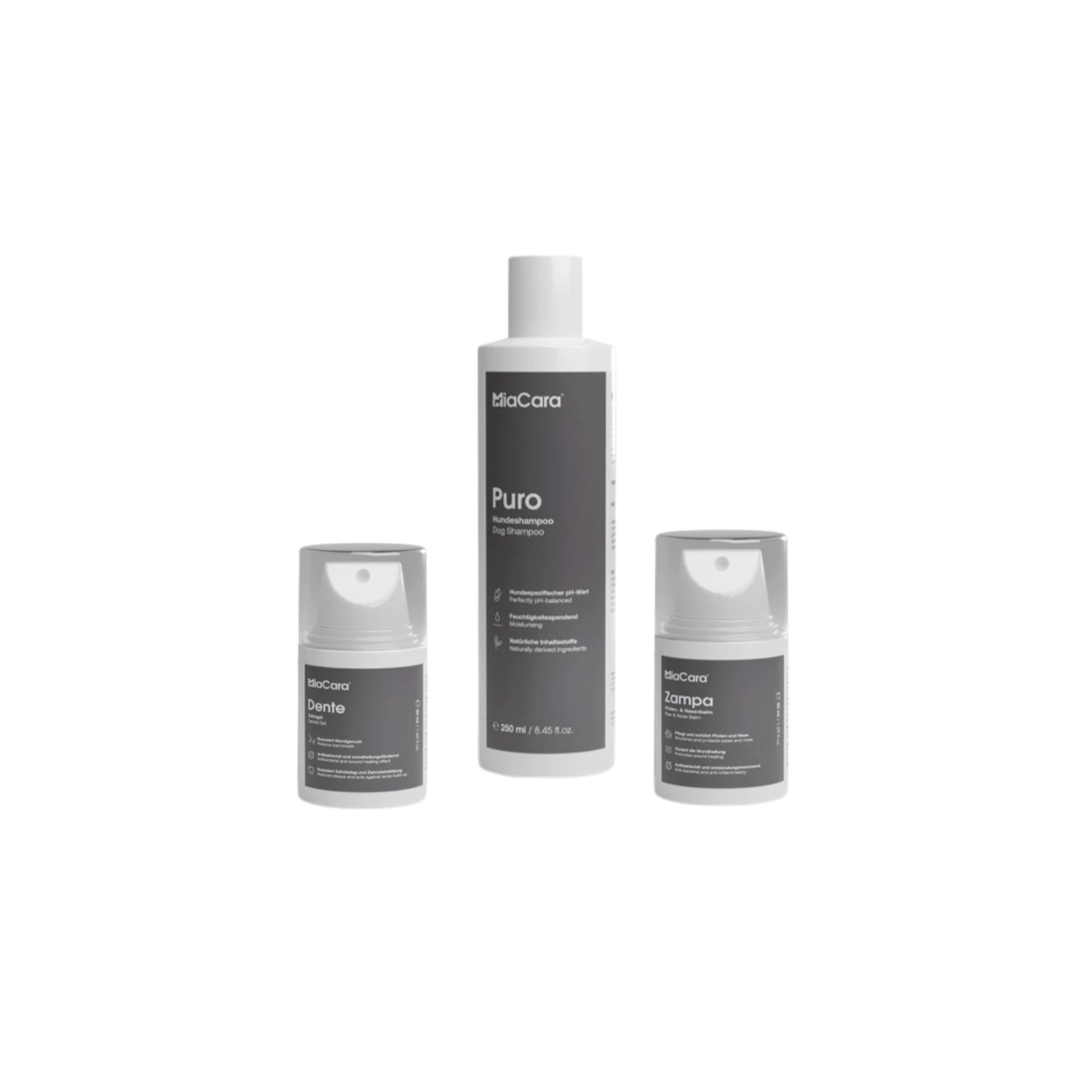 grooming toilettage chien à la maison