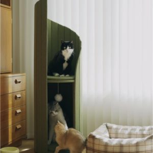 arbre à chat design pewos