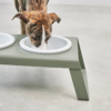 desco vert miacara gamelle design pour chien