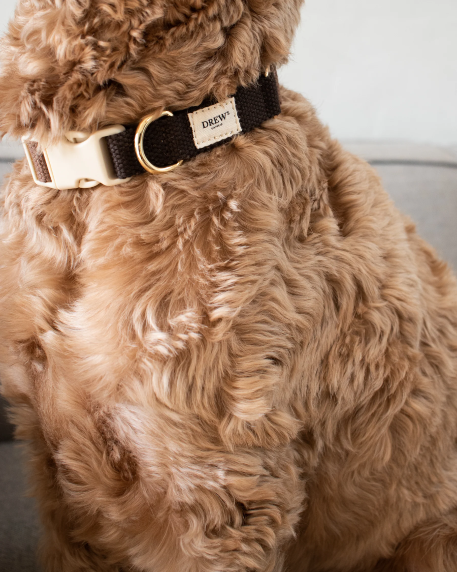 collier harnais design scandinave chien drews dogwear