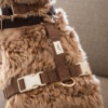 collier harnais design scandinave chien drews dogwear