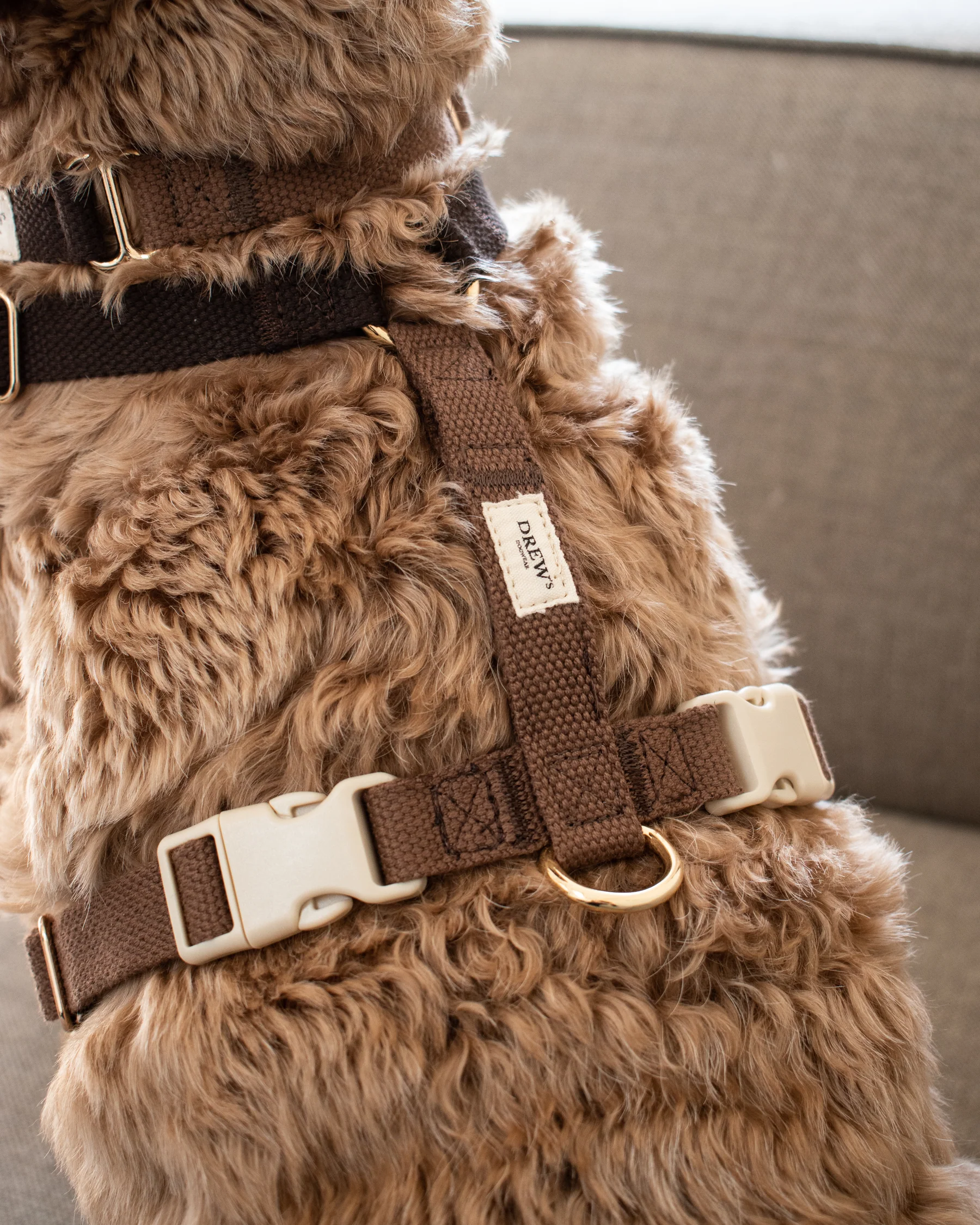 collier harnais design scandinave chien drews dogwear