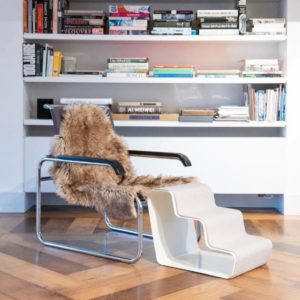 Rampe design pour chien et chat – DOGBEAM