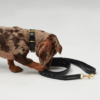 Laisse ajustable by scout mela capista chien design cuir vegan