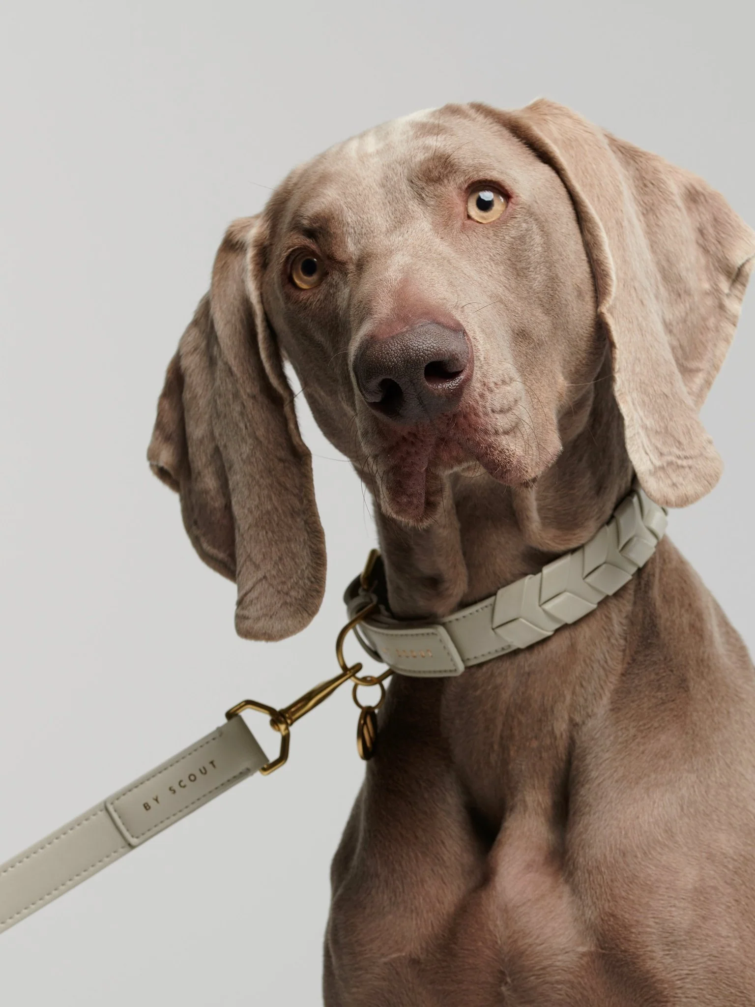 Laisse ajustable by scout mela capista chien design cuir vegan Laisse ajustable by scout mela capista chien design cuir vegan