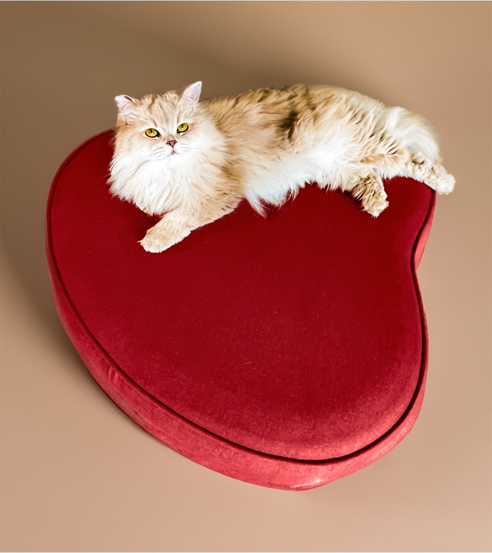 Coussin de luxe pour chien ou chat - COCOON