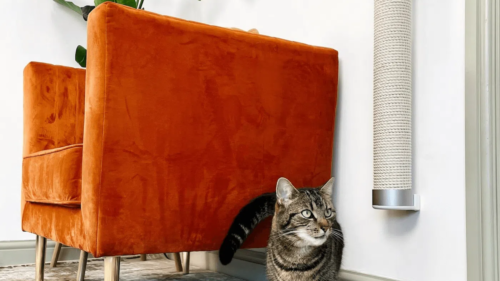 4 mobiliers design pour chats tendance- griffoir CATI