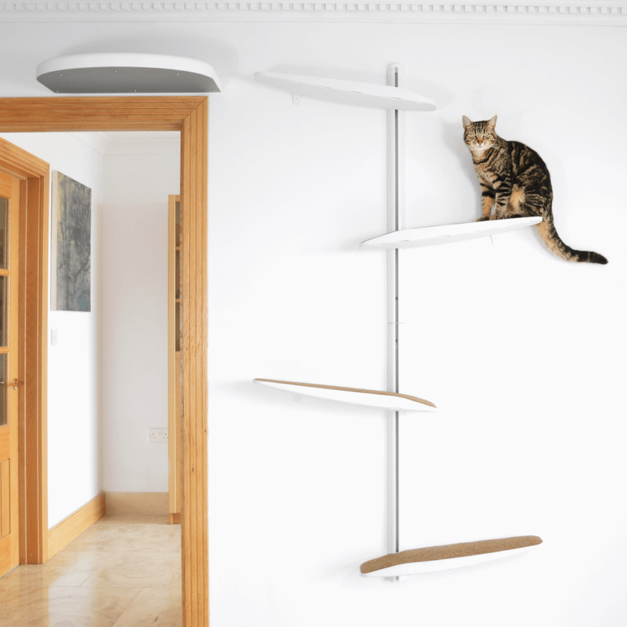 Arbre à chat mural design - CATI