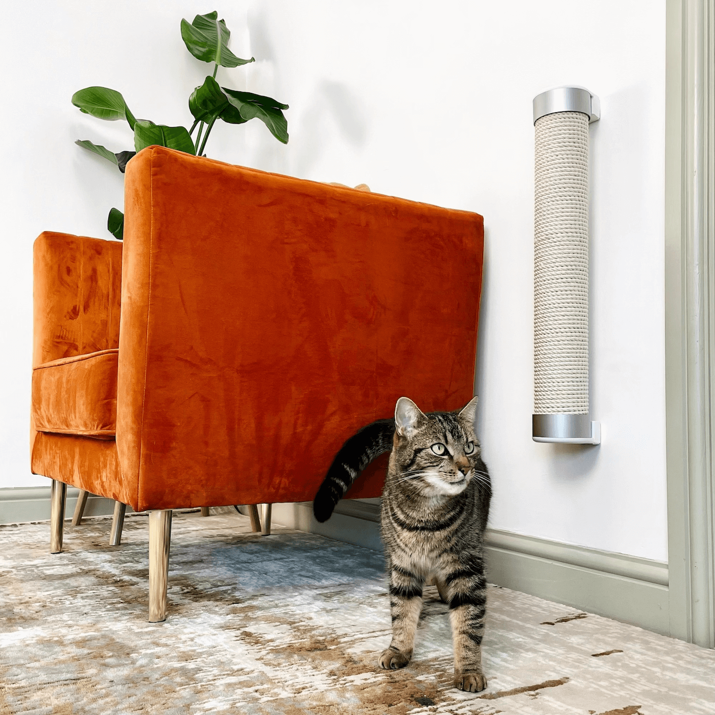 Griffoir design pour chat en sisal - CATI