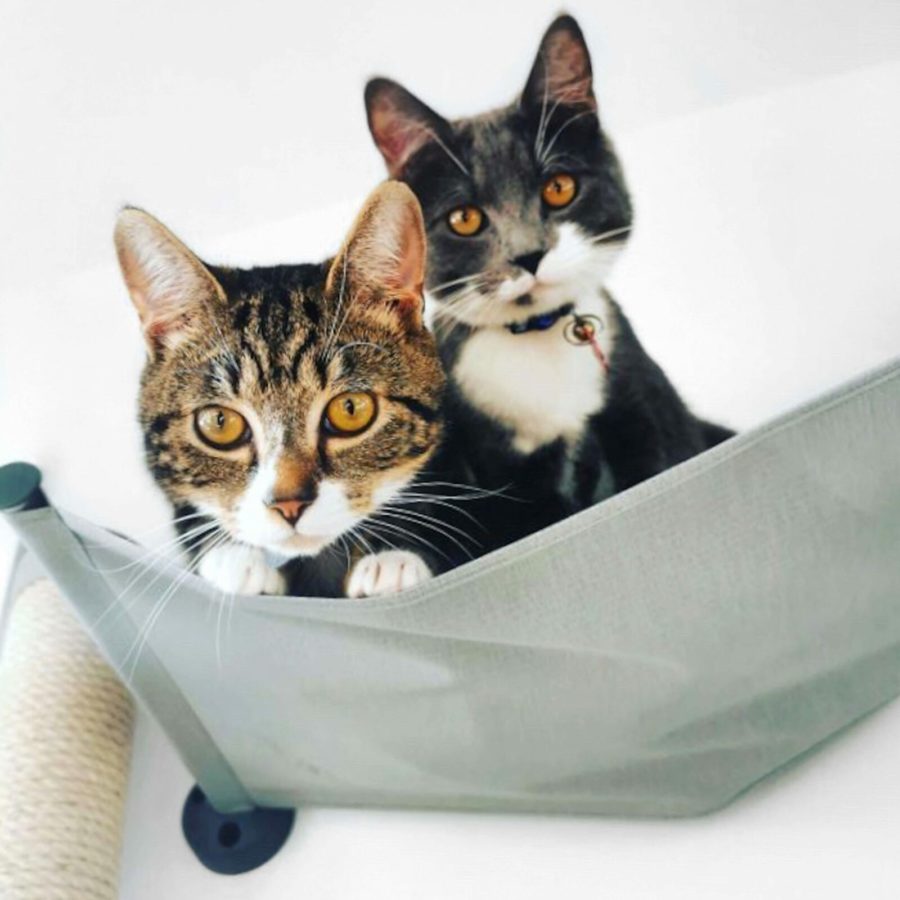 Hamac suspendu design pour chat - HAMMOCK