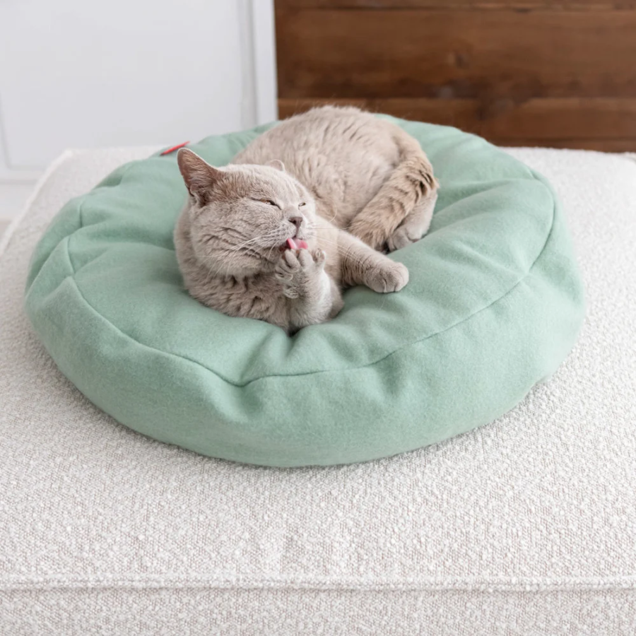 Coussin pour chat design - DONUT