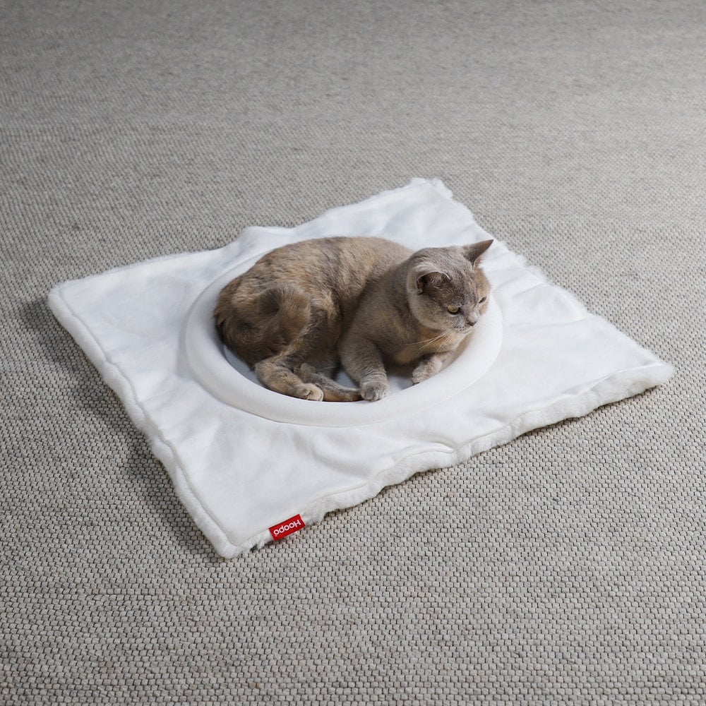 flip lit douillet pour chat (1) flip lit douillet pour chat