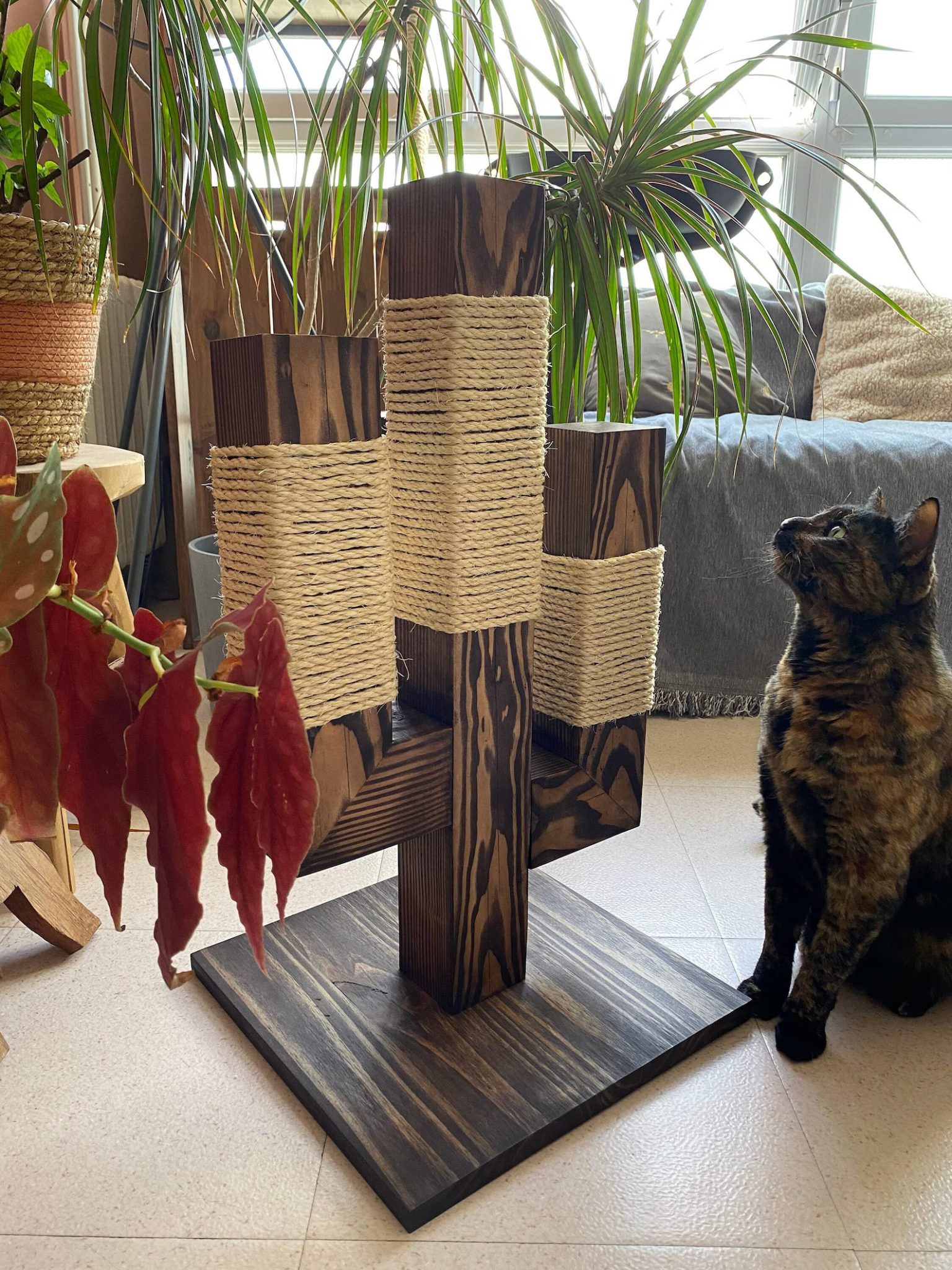 Griffoir pour Chat en Bois Douglas - PACHA Griffoir pour Chat en Bois Douglas - PACHA