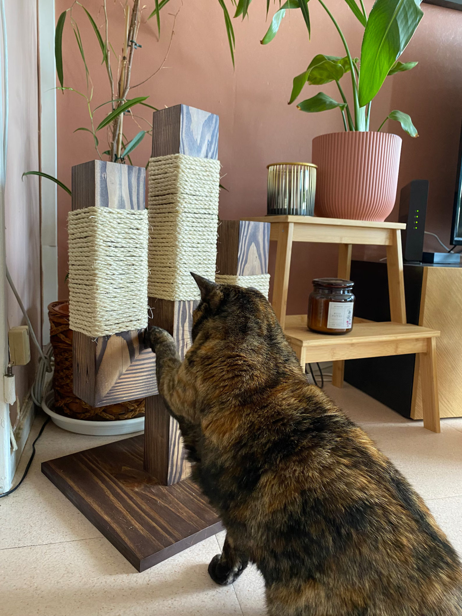 Griffoir pour Chat en Bois Douglas - PACHA Griffoir pour Chat en Bois Douglas - PACHA