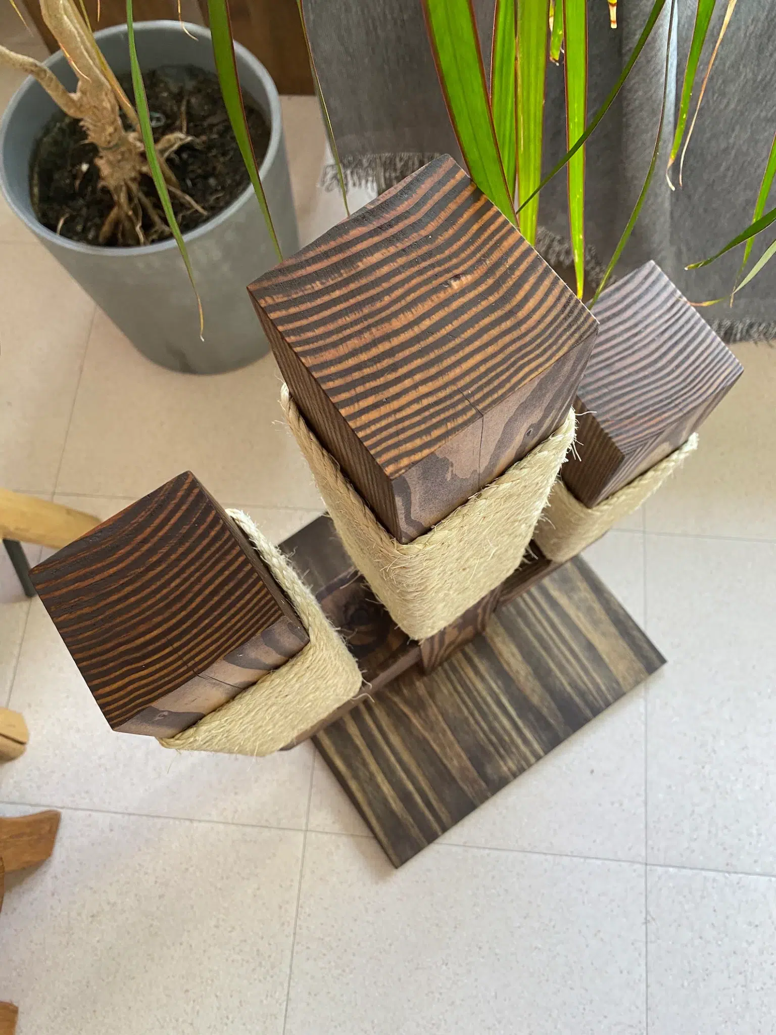 Griffoir pour Chat en Bois Douglas - PACHA Griffoir pour Chat en Bois Douglas - PACHA