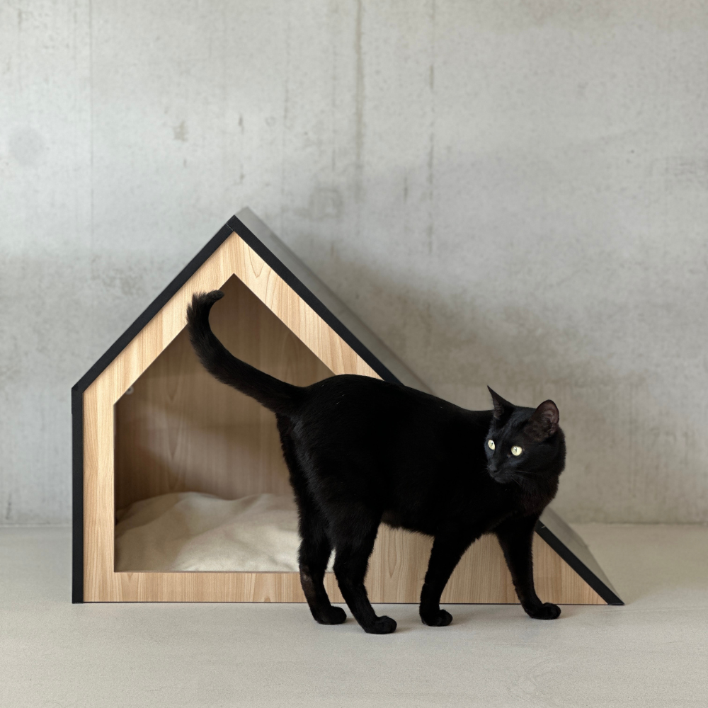 Maison design pour chat - STUDIO