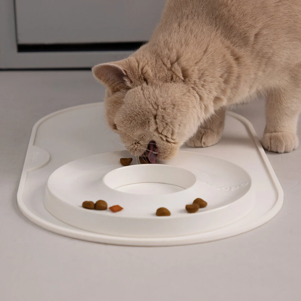 set de table design hoopo chat