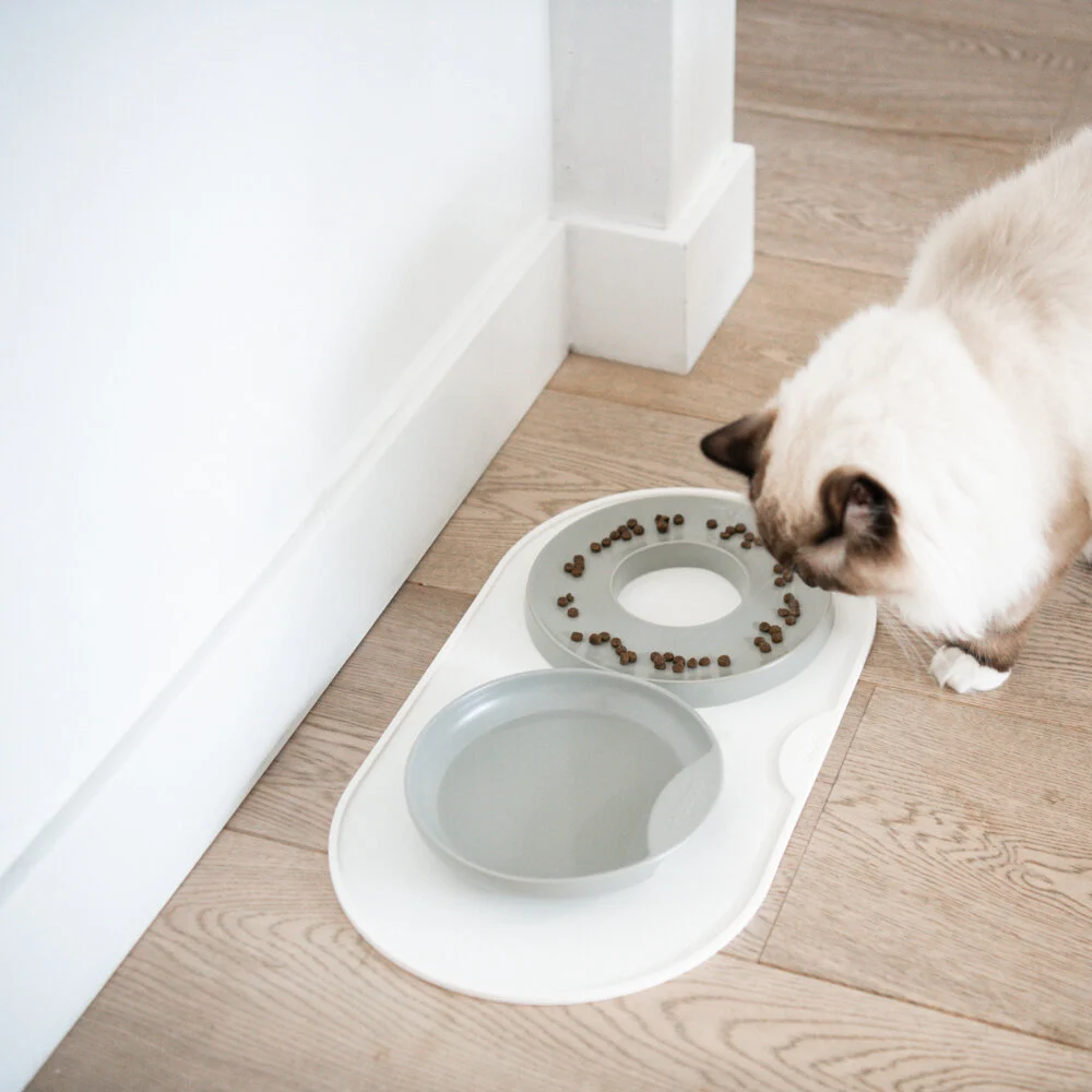 set de table design hoopo chat