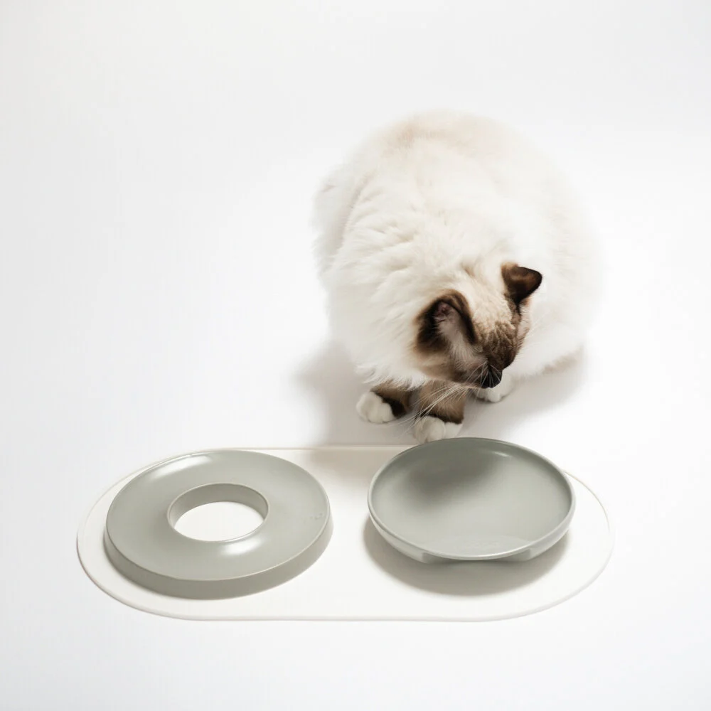 set de table design hoopo chat