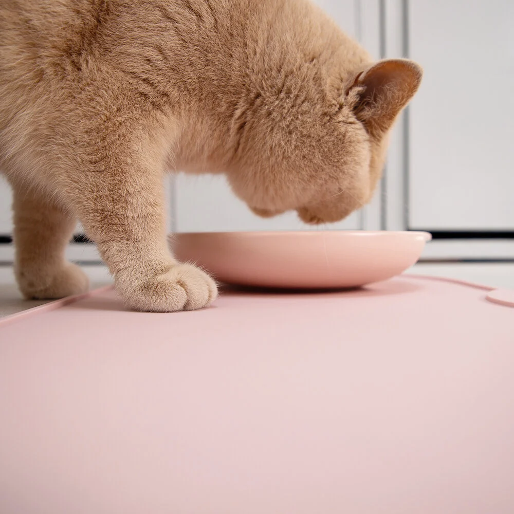 set de table design hoopo chat