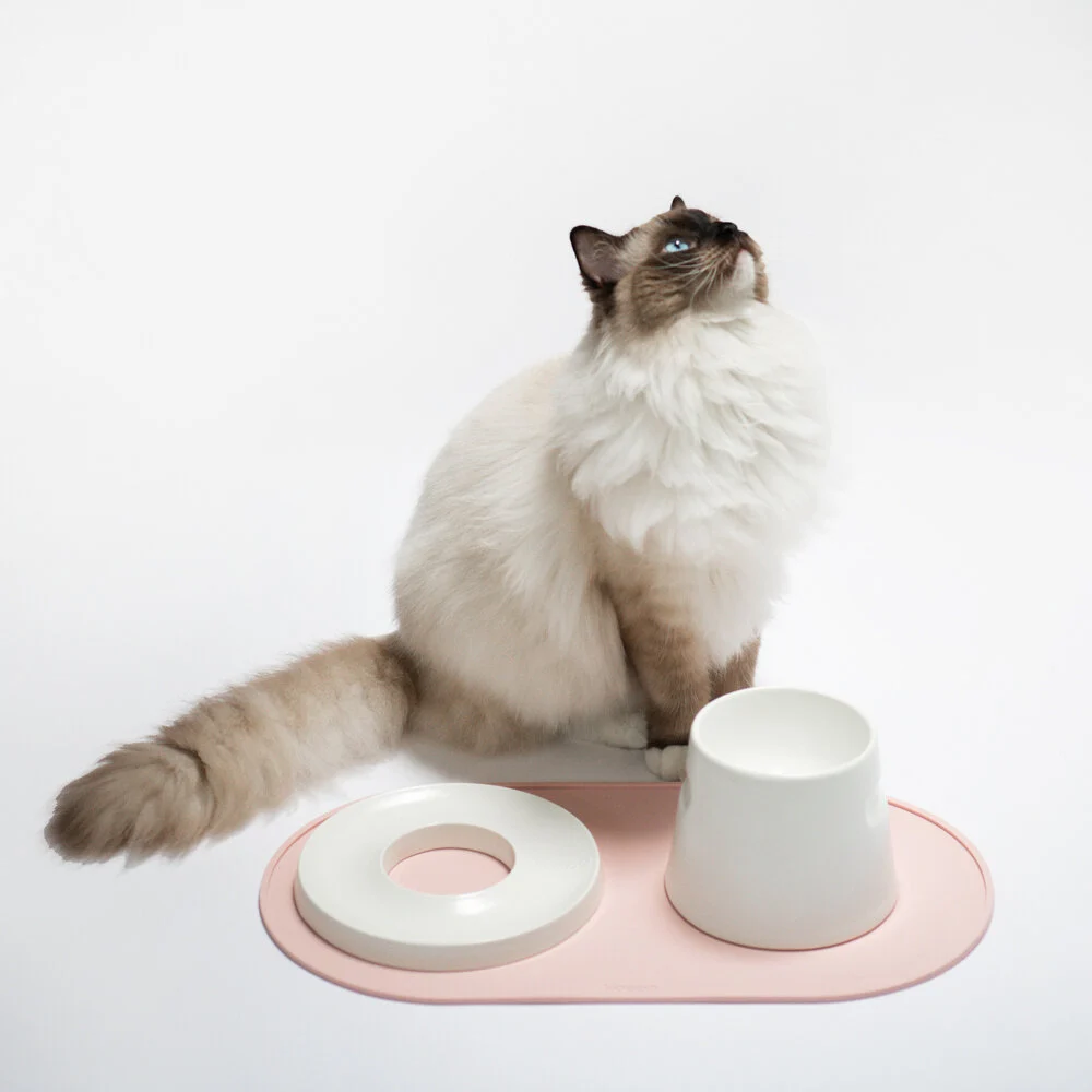 set de table design hoopo chat