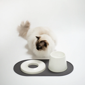 Set de table design pour chat – HOOPO