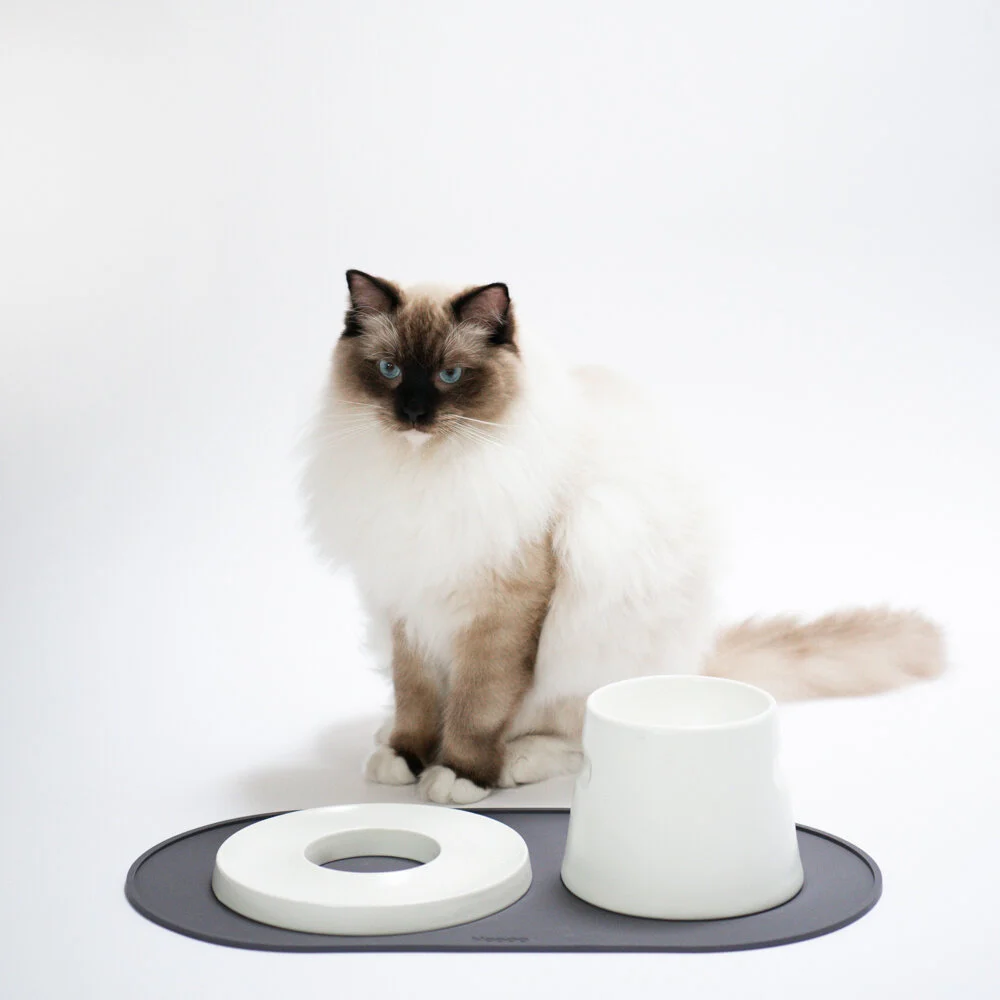 set de table design hoopo chat