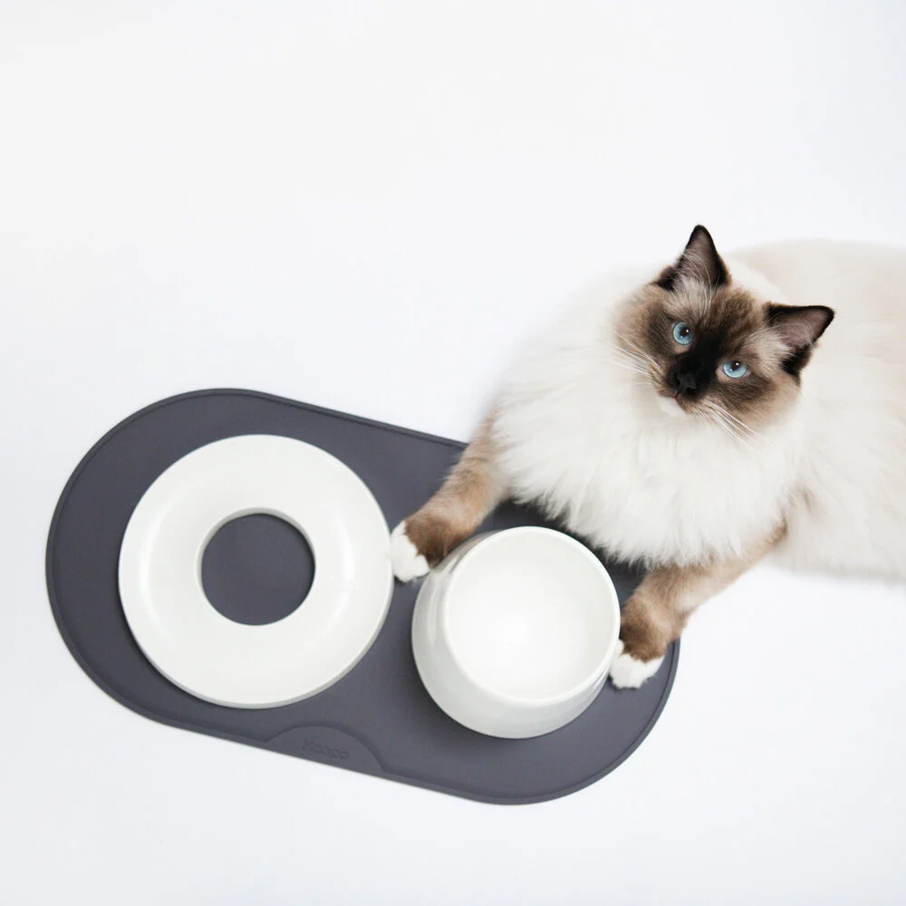 set de table design hoopo chat