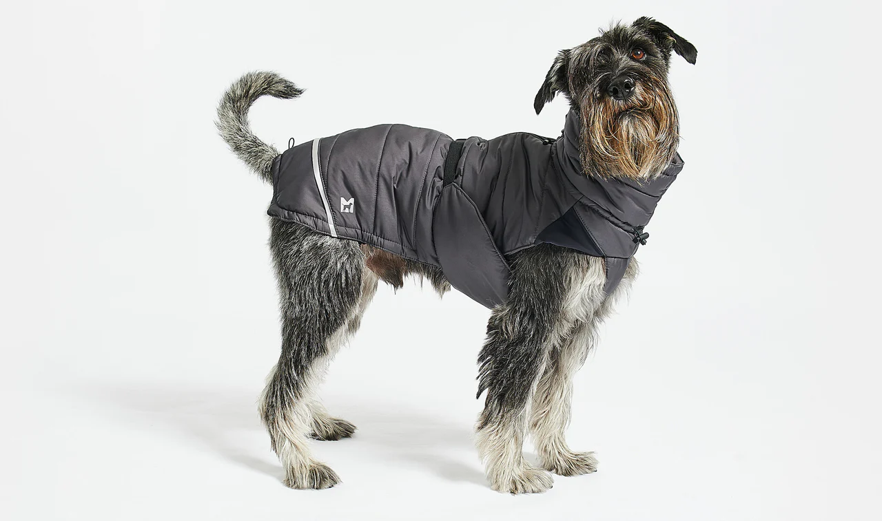 Manteau d'hiver pour chien - COSIMA