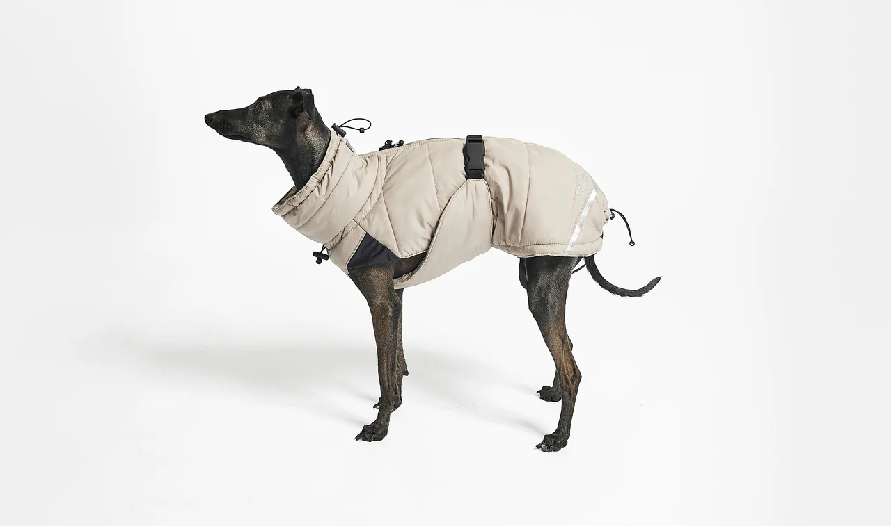 Manteau d'hiver pour chien - COSIMA