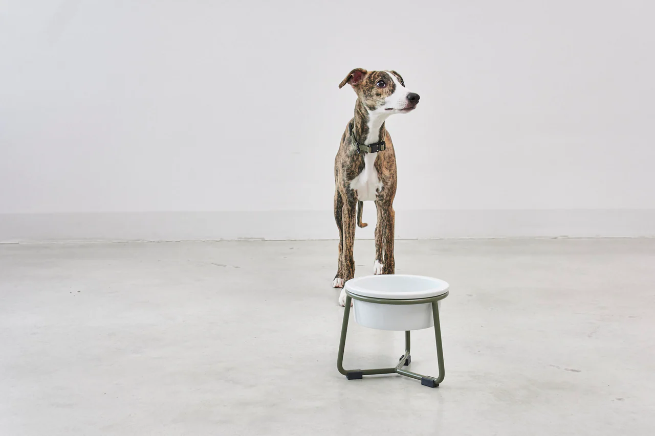 pranzo gamelle pour chien design (5) Gamelle pour chien porcelaine design miacara pranzo