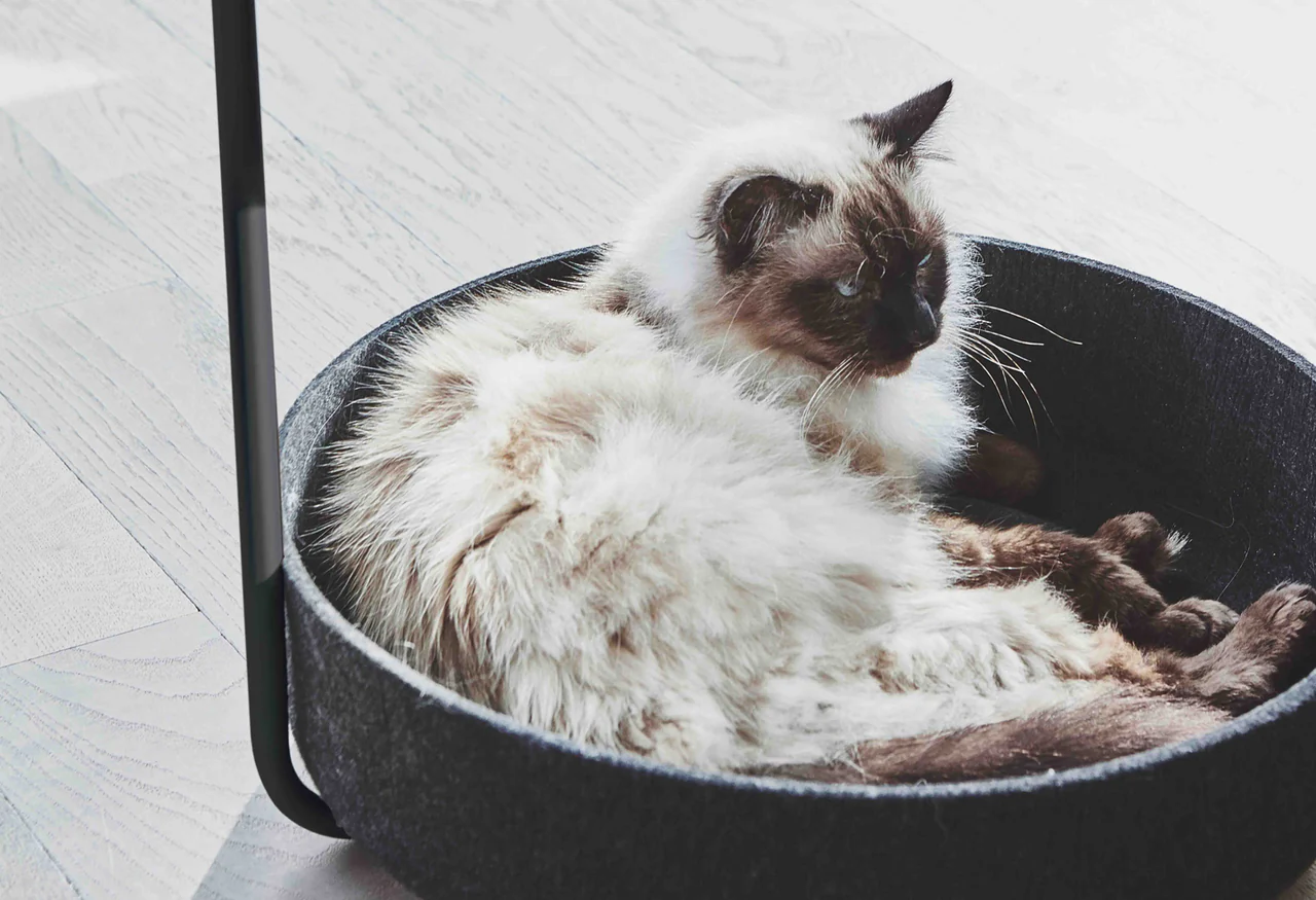 table d'appoint design tavolino (7) table d'appoint design tavolino miacara