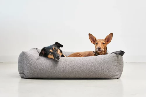 Panier pour chien bouclé design - MONDO