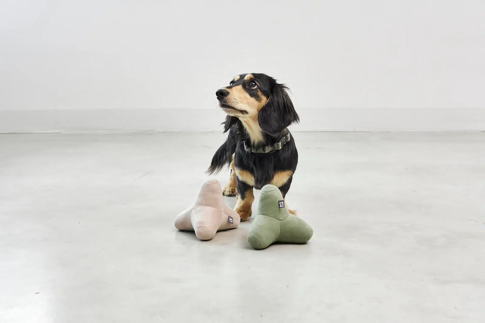 Jouet géométrique design pour chien - QUATTRO Jouet géométrique design pour chien - QUATTRO