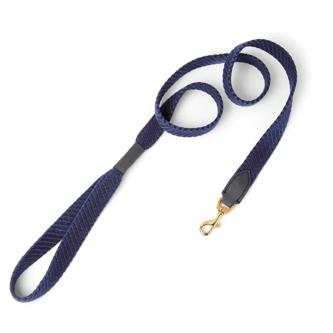 Laisse pour chien design - PATAGONIA