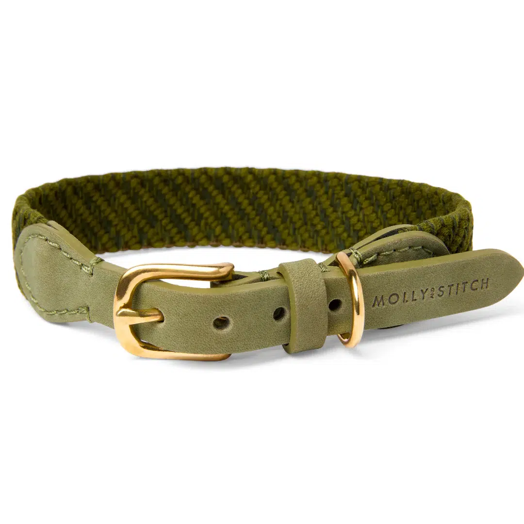 Collier pour chien design - PATAGONIA Collier pour chien design - PATAGONIA