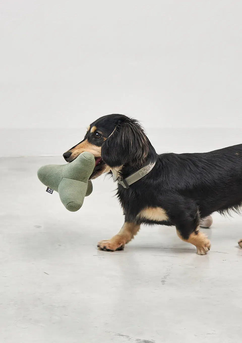 Jouet géométrique design pour chien - QUATTRO Jouet géométrique design pour chien - QUATTRO