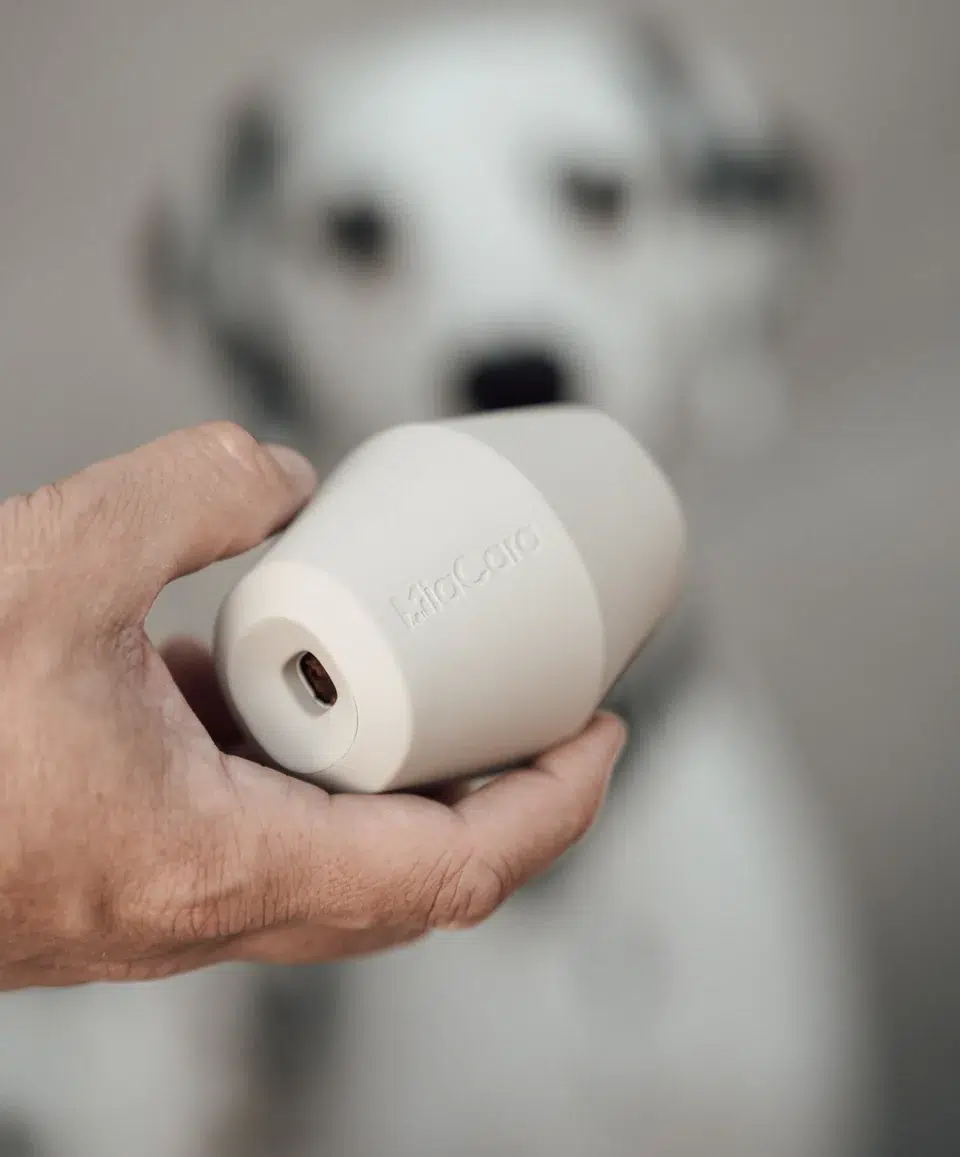 Jouet design pour chien - CONO Jouet design pour chien - CONO