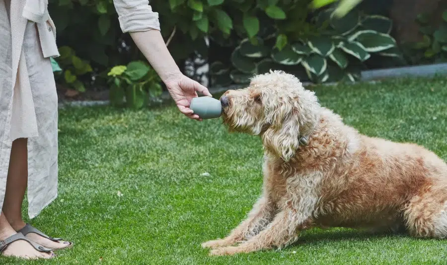 Jouet design pour chien - CONO