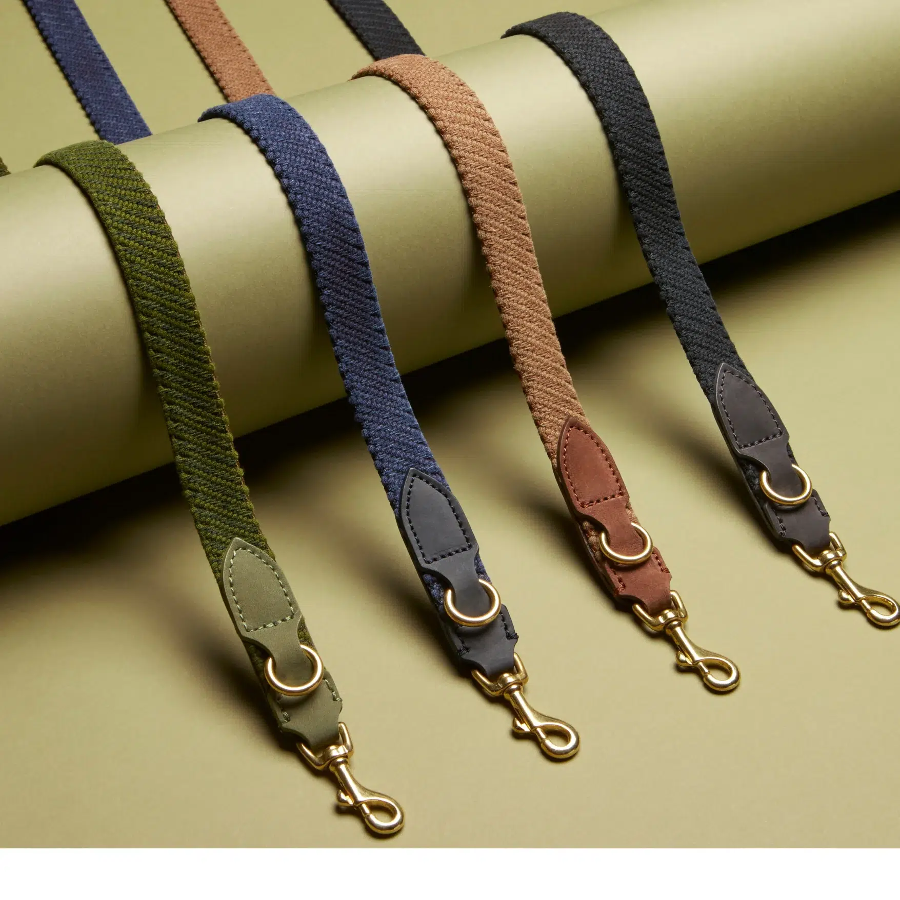 Laisse pour chien design - PATAGONIA