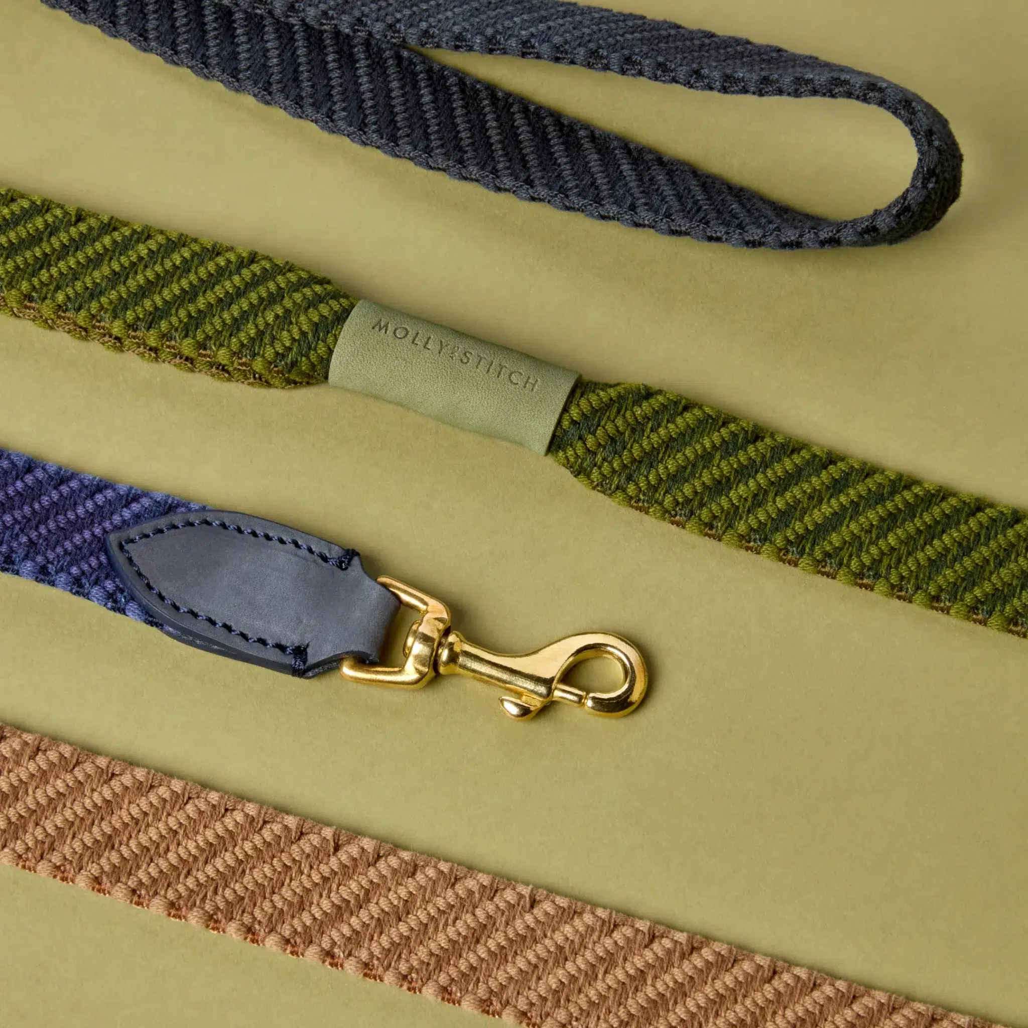 Laisse pour chien design - PATAGONIA