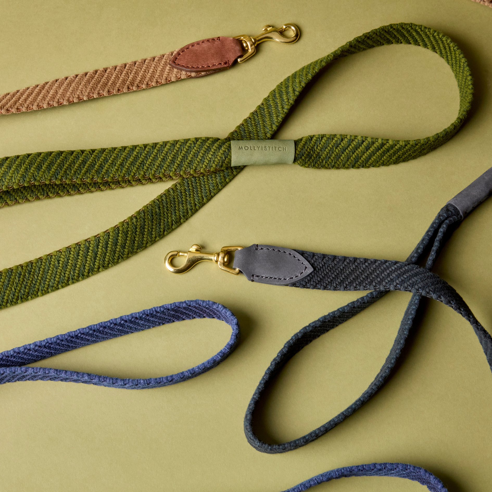 Laisse pour chien design - PATAGONIA