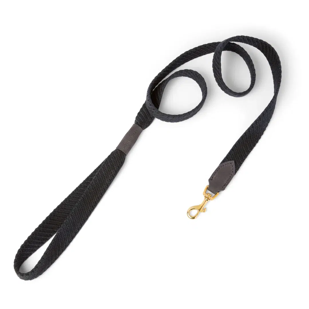 Laisse pour chien design - PATAGONIA
