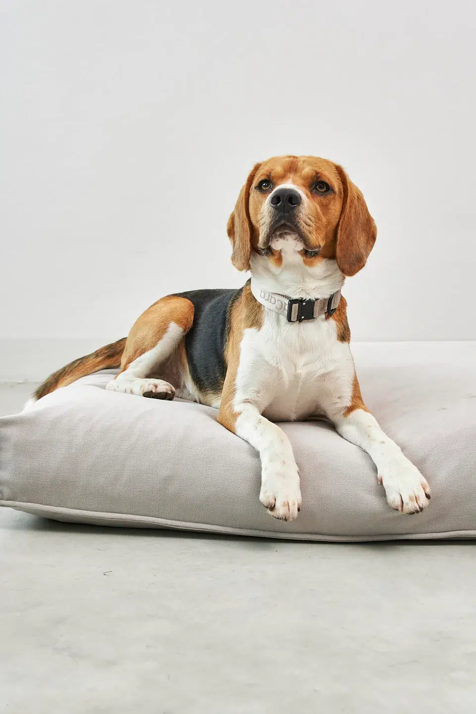 Housse de coussin - COMODO Housse de coussin - COMODO