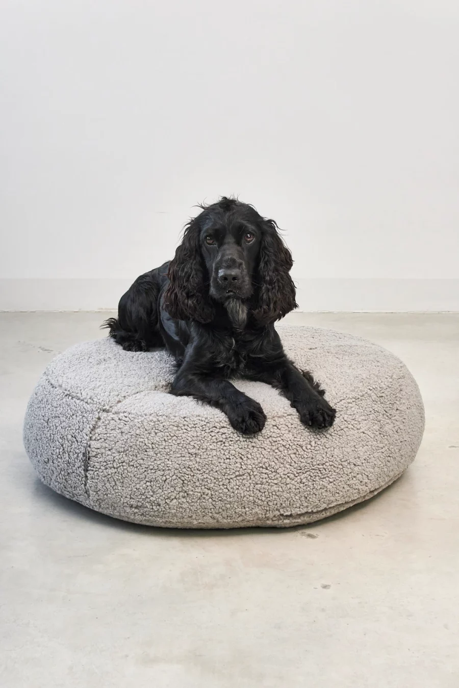 Housse de pouf pour chien - SENSO