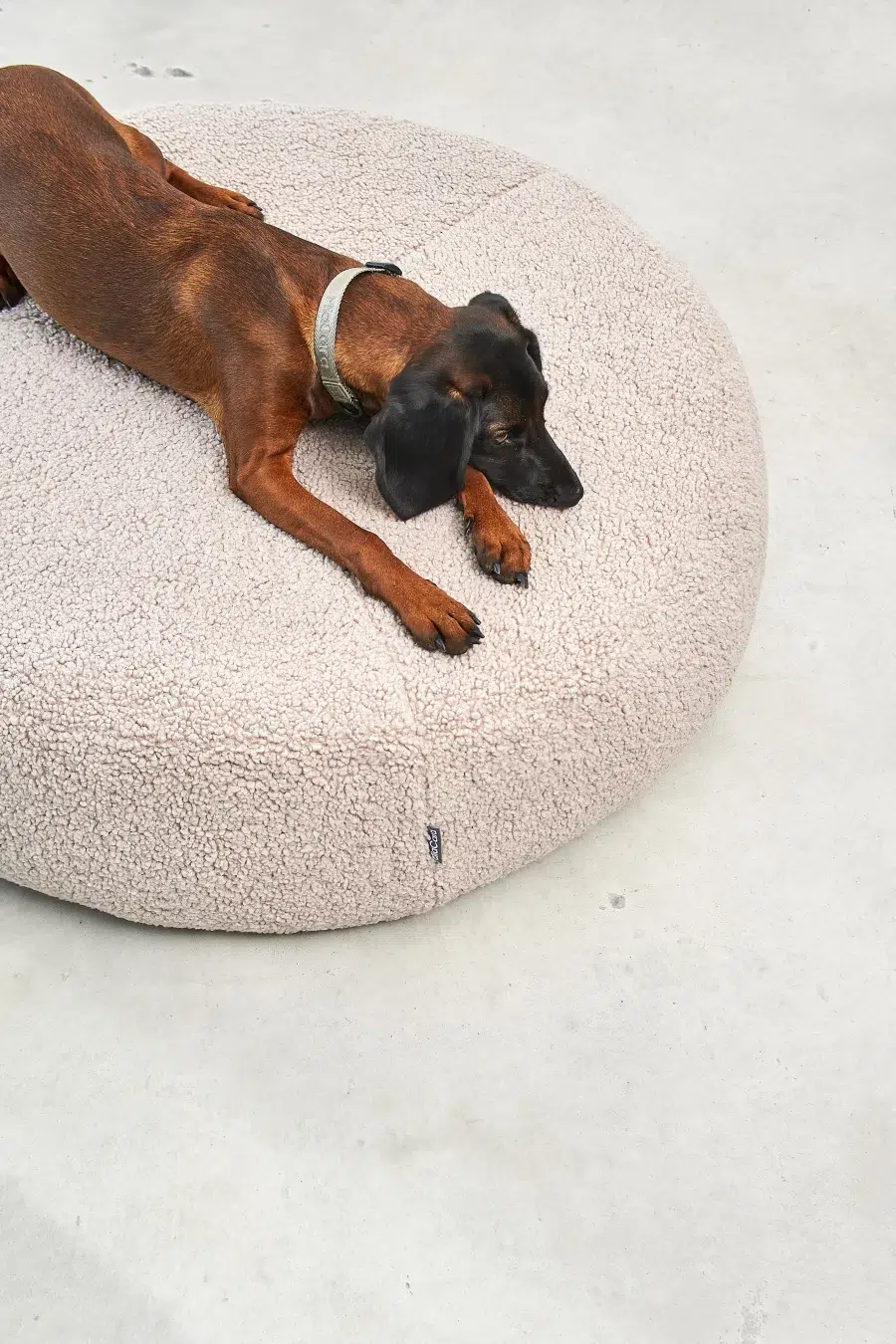 Housse de pouf pour chien - SENSO