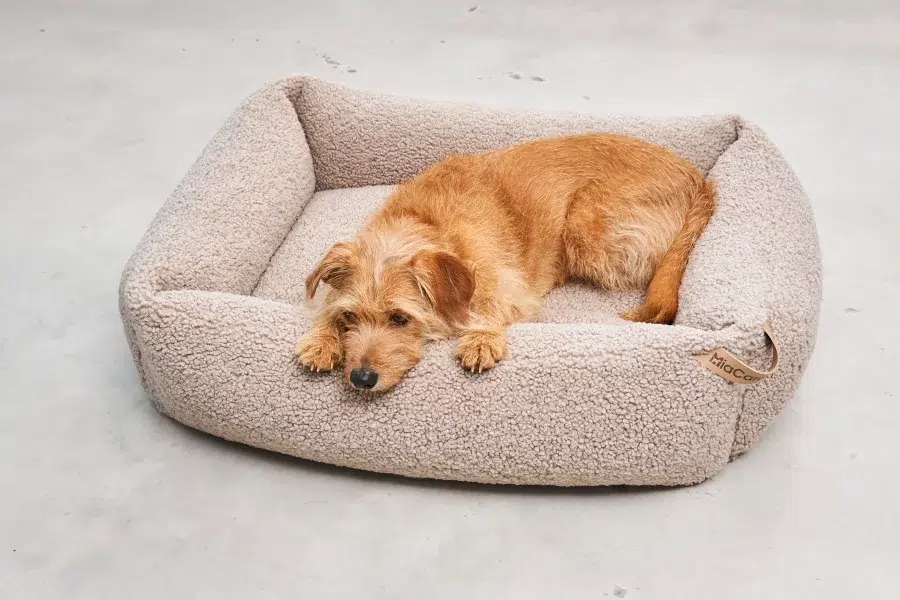 Housse de lit pour chien - SENSO