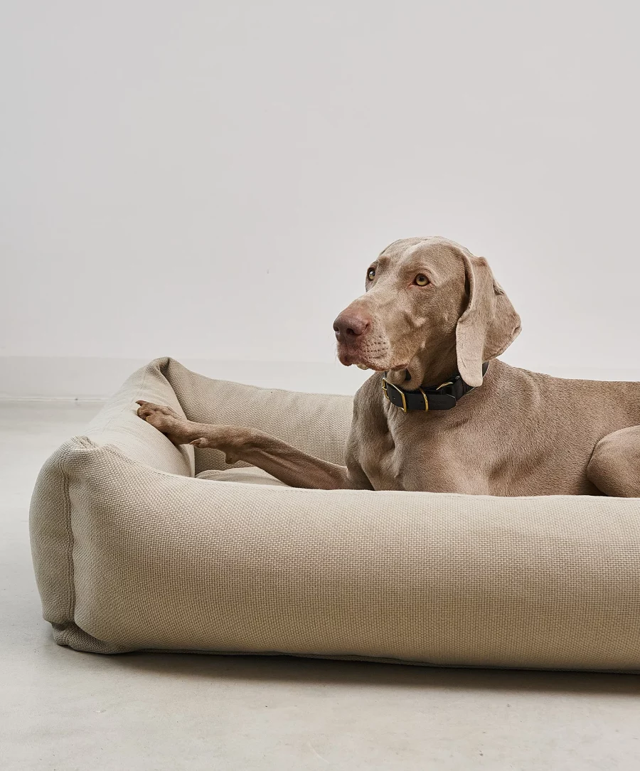 Housse de lit pour chien - SONNO