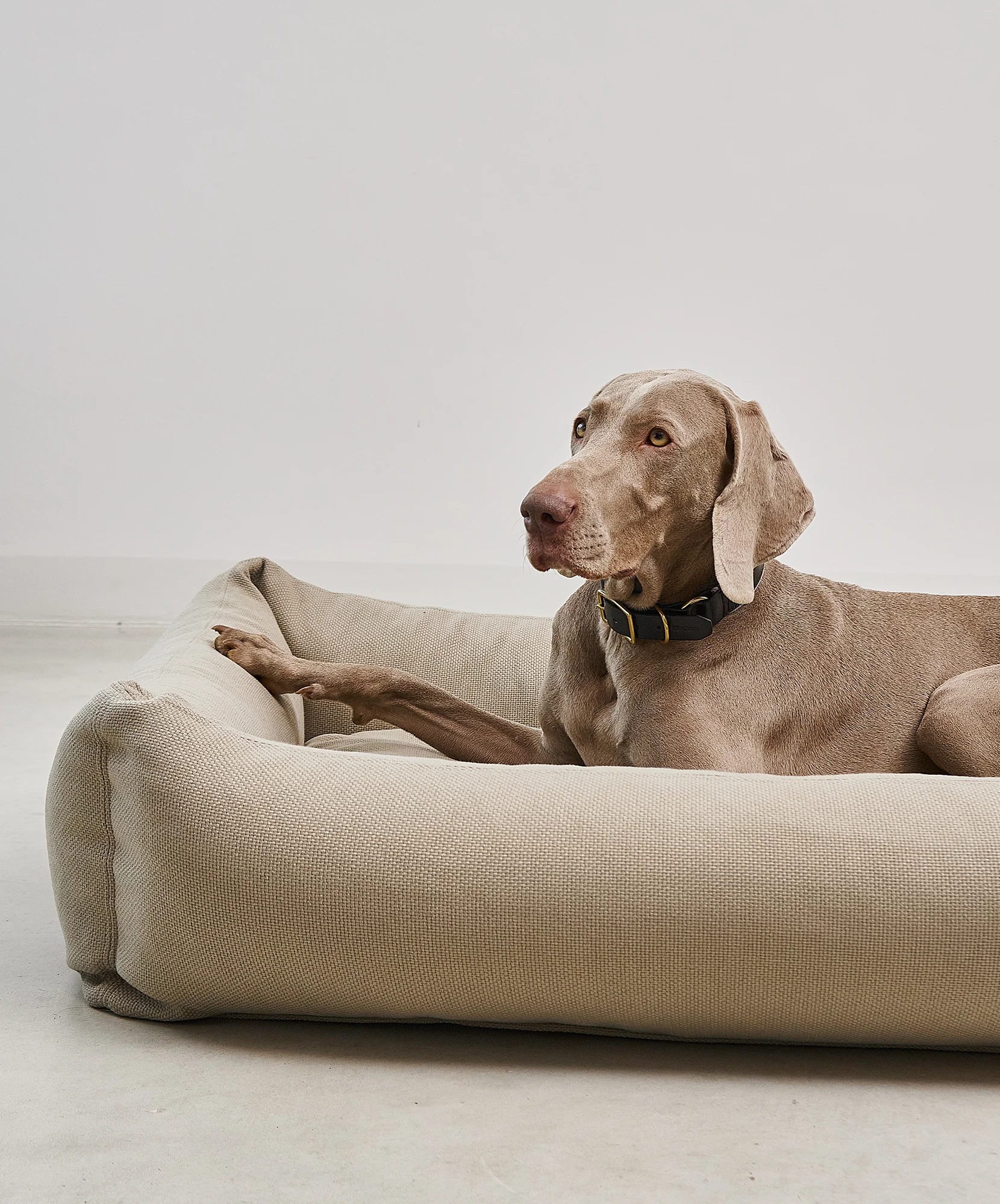 Housse de lit pour chien - SONNO