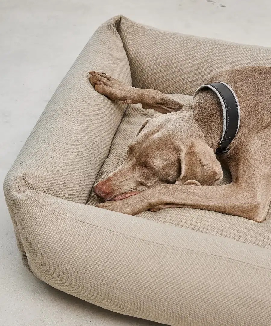 Housse de lit pour chien - SONNO